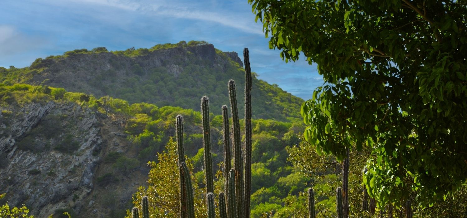 Fiscale Wetgeving 2026